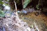 The remains of the plastic dam, upstream of the wooden dam